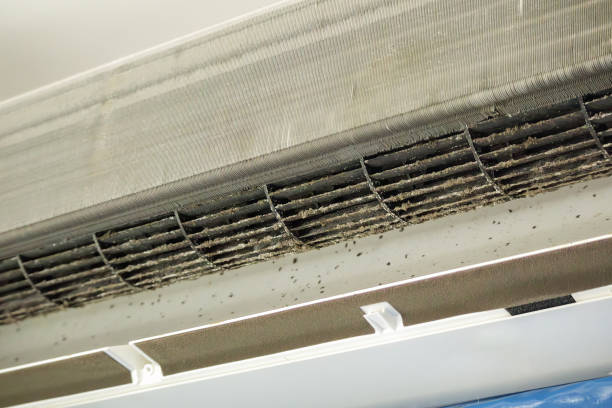 Best Commercial HVAC Duct Cleaning  in Marlboro Meadows, MD